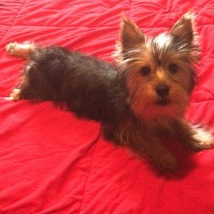 Meet your Posher, Glenda